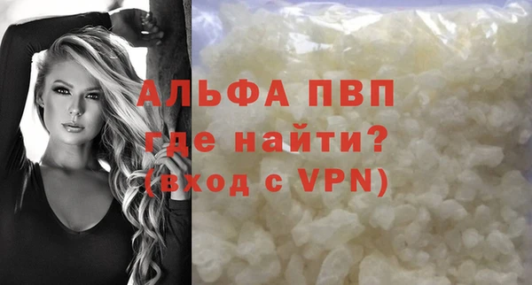 спиды Волоколамск