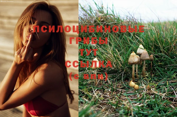 спиды Волоколамск