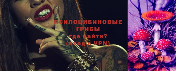 СК Верхний Тагил